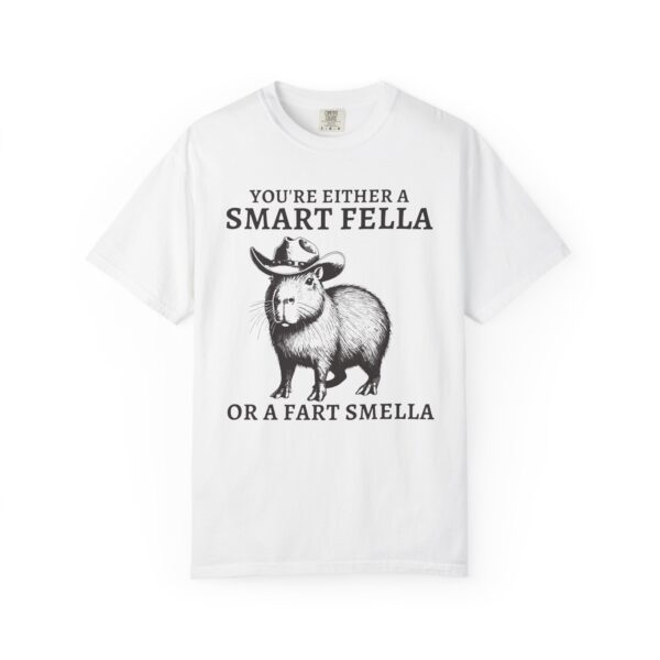Smart Fella or a Fart Smella T-shirt - Meme Shirt Retro Cartoon Gift