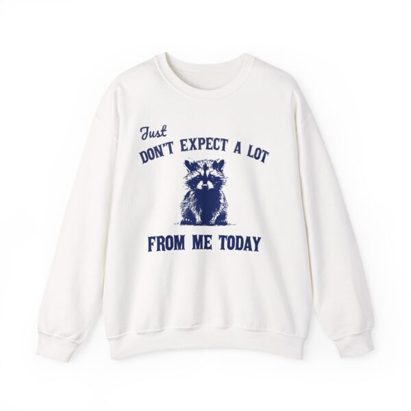 Don't Expect A Lot Sweatshirt – Funny Sarcastic Raccoon Retro Tee